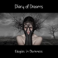 Elegies In Darkness