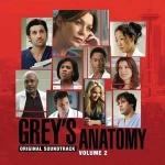 Grey's Anatomy Volume 2