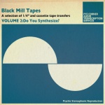 Black Mill Tapes Vol. 2 - Do You Synthesize?