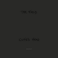 Cupid's Head