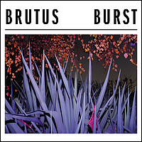 Burst