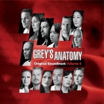 Grey's Anatomy Volume 4