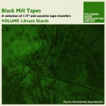 Black Mill Tapes Vol. 1 - Avant Shards