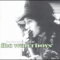 The Live Adventures of the Waterboys