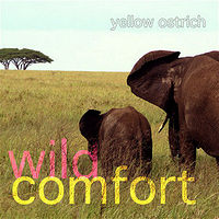 Wild Comfort