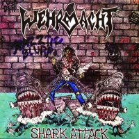 Shark Attack