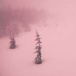 Desde El Segundo Sol