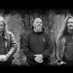 Roots of the Old Oak