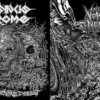 Rancid Fermenting Disgust / Submersion Emeto​-​Asphyxique