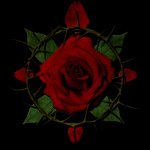 001: He That Dares Not Grasp The Thorn Should Never Crave The Rose