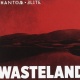 Wasteland