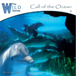 Call of the Ocean