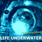 Life Underwater
