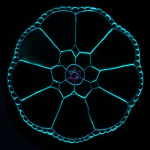 Fictional Landscapes