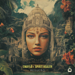 Spirit Healer