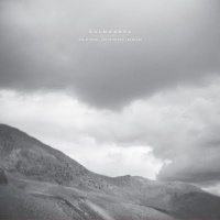 All Is Wild, All Is Silent | Remixes