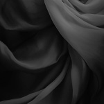 TREVØR / Rin Shimizu