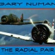 The Radial Pair 