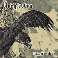 Feather and Stone