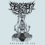 Encased in Ice