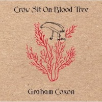 Crow Sit on Blood Tree