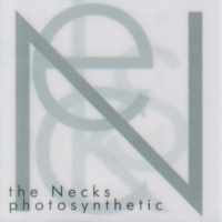 Photosyntetic