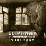 Elephant in the Room