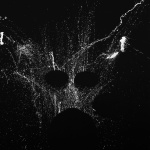 Rhythmique Nocturne