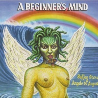 A Beginner's Mind